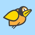 Birds games
